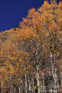Autumnal_Hike_To_Crater_Lake_Maroon_Bells_Aspen_Colorado_Western_USA_Nature_Photography_Canon_EOS_R5_Mark_II_2025_048.JPG