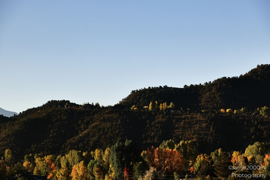 Autumnal_Mountain_Landscape_With_Trees_And_Clear_Blue_Sky_Colorado_USA_Western_USA_Nature_Photography_Canon_EOS_R5_Mark_II_2025_001.JPG
