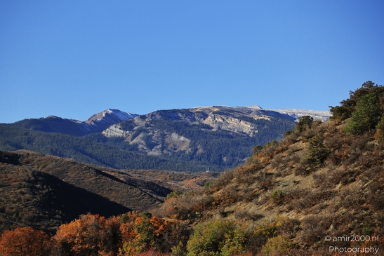 Autumnal_Mountain_Landscape_With_Trees_And_Clear_Blue_Sky_Colorado_USA_Western_USA_Nature_Photography_Canon_EOS_R5_Mark_II_2025_003.JPG