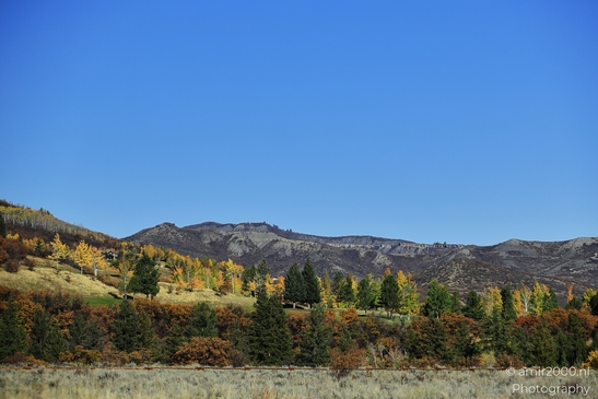 Autumnal_Mountain_Landscape_With_Trees_And_Clear_Blue_Sky_Colorado_USA_Western_USA_Nature_Photography_Canon_EOS_R5_Mark_II_2025_006.JPG