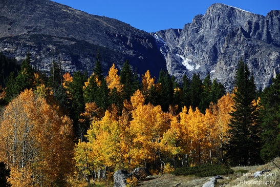 Bear_Lake_During_Autumn_Sunny_Day_Rocky_Mountain_National_Park_Colorado_Western_USA_Nature_Photography_Canon_EOS_R5_Mark_II_2025_001.JPG