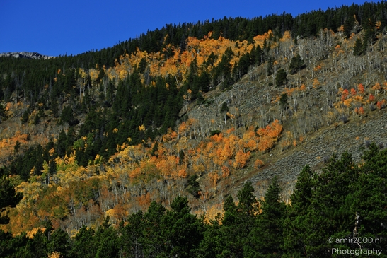 Bear_Lake_During_Autumn_Sunny_Day_Rocky_Mountain_National_Park_Colorado_Western_USA_Nature_Photography_Canon_EOS_R5_Mark_II_2025_004.JPG