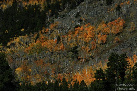 Bear_Lake_During_Autumn_Sunny_Day_Rocky_Mountain_National_Park_Colorado_Western_USA_Nature_Photography_Canon_EOS_R5_Mark_II_2025_005.JPG