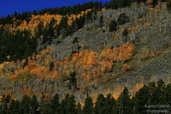 Bear_Lake_During_Autumn_Sunny_Day_Rocky_Mountain_National_Park_Colorado_Western_USA_Nature_Photography_Canon_EOS_R5_Mark_II_2025_006.JPG