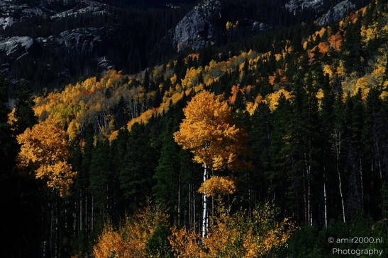 Bear_Lake_During_Autumn_Sunny_Day_Rocky_Mountain_National_Park_Colorado_Western_USA_Nature_Photography_Canon_EOS_R5_Mark_II_2025_007.JPG