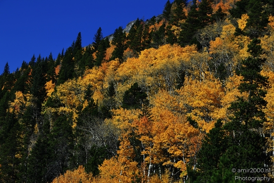 Bear_Lake_During_Autumn_Sunny_Day_Rocky_Mountain_National_Park_Colorado_Western_USA_Nature_Photography_Canon_EOS_R5_Mark_II_2025_008.JPG