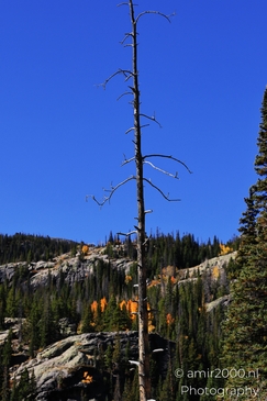 Bear_Lake_During_Autumn_Sunny_Day_Rocky_Mountain_National_Park_Colorado_Western_USA_Nature_Photography_Canon_EOS_R5_Mark_II_2025_034.JPG