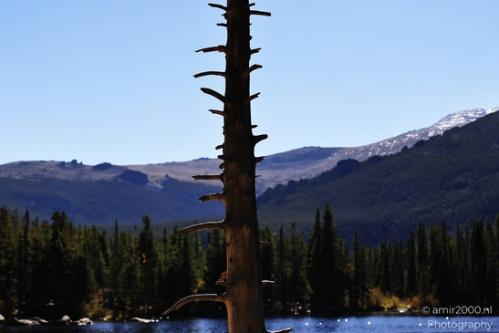 Bear_Lake_During_Autumn_Sunny_Day_Rocky_Mountain_National_Park_Colorado_Western_USA_Nature_Photography_Canon_EOS_R5_Mark_II_2025_035.JPG