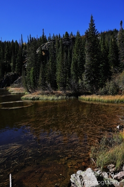 Bear_Lake_During_Autumn_Sunny_Day_Rocky_Mountain_National_Park_Colorado_Western_USA_Nature_Photography_Canon_EOS_R5_Mark_II_2025_044.JPG