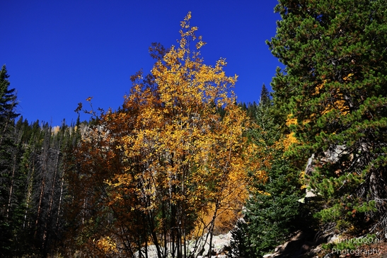Bear_Lake_During_Autumn_Sunny_Day_Rocky_Mountain_National_Park_Colorado_Western_USA_Nature_Photography_Canon_EOS_R5_Mark_II_2025_046.JPG