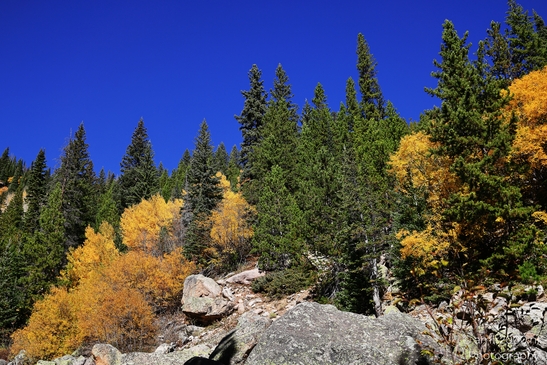 Bear_Lake_During_Autumn_Sunny_Day_Rocky_Mountain_National_Park_Colorado_Western_USA_Nature_Photography_Canon_EOS_R5_Mark_II_2025_047.JPG