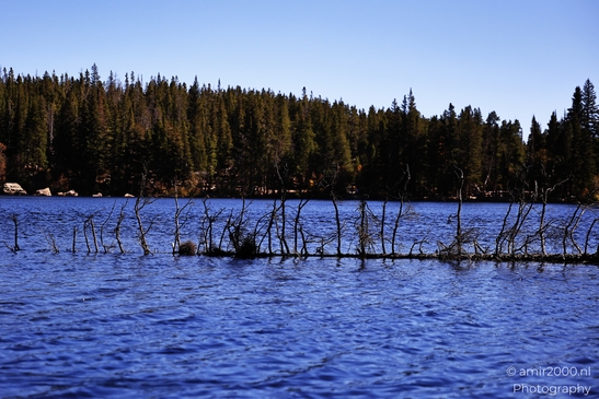 Bear_Lake_During_Autumn_Sunny_Day_Rocky_Mountain_National_Park_Colorado_Western_USA_Nature_Photography_Canon_EOS_R5_Mark_II_2025_057.JPG