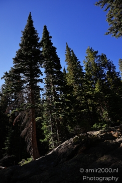 Bear_Lake_During_Autumn_Sunny_Day_Rocky_Mountain_National_Park_Colorado_Western_USA_Nature_Photography_Canon_EOS_R5_Mark_II_2025_060.JPG