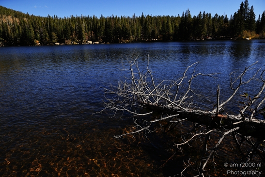 Bear_Lake_During_Autumn_Sunny_Day_Rocky_Mountain_National_Park_Colorado_Western_USA_Nature_Photography_Canon_EOS_R5_Mark_II_2025_061.JPG