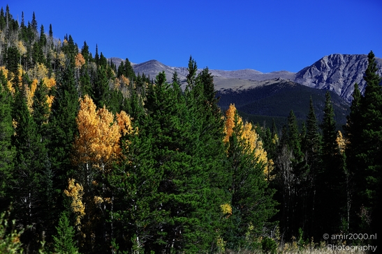 Bear_Lake_Road_During_Autumn_Foliage_Rocky_Mountain_National_Park_Colorado_Western_USA_Nature_Photography_Canon_EOS_R5_Mark_II_2025_008.JPG