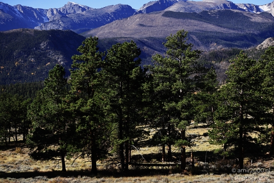 Bear_Lake_Road_During_Autumn_Foliage_Rocky_Mountain_National_Park_Colorado_Western_USA_Nature_Photography_Canon_EOS_R5_Mark_II_2025_018.JPG