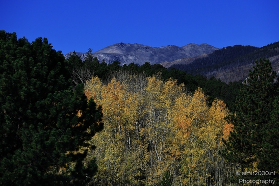 Bear_Lake_Road_During_Autumn_Foliage_Rocky_Mountain_National_Park_Colorado_Western_USA_Nature_Photography_Canon_EOS_R5_Mark_II_2025_023.JPG