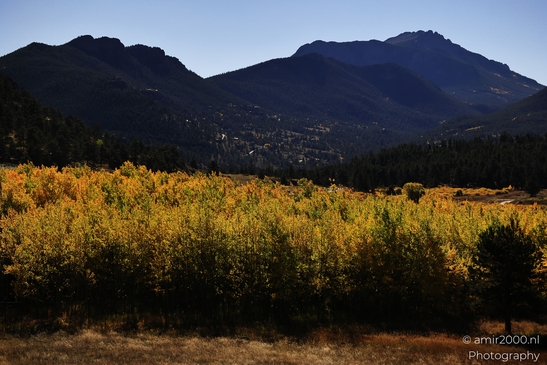 Bear_Lake_Road_During_Autumn_Foliage_Rocky_Mountain_National_Park_Colorado_Western_USA_Nature_Photography_Canon_EOS_R5_Mark_II_2025_024.JPG