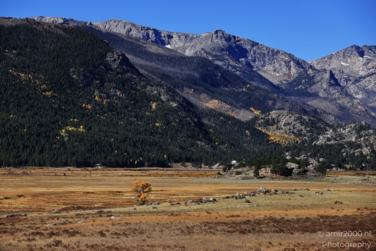 Bear_Lake_Road_During_Autumn_Foliage_Rocky_Mountain_National_Park_Colorado_Western_USA_Nature_Photography_Canon_EOS_R5_Mark_II_2025_027.JPG
