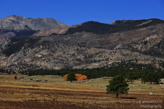 Bear_Lake_Road_During_Autumn_Foliage_Rocky_Mountain_National_Park_Colorado_Western_USA_Nature_Photography_Canon_EOS_R5_Mark_II_2025_031.JPG
