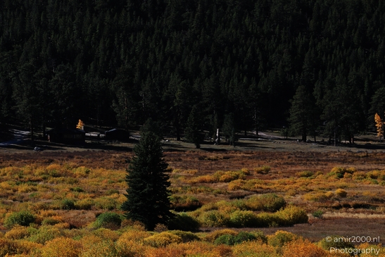 Bear_Lake_Road_During_Autumn_Foliage_Rocky_Mountain_National_Park_Colorado_Western_USA_Nature_Photography_Canon_EOS_R5_Mark_II_2025_033.JPG