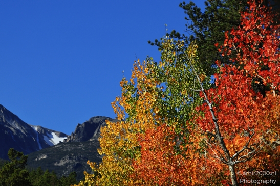 Bear_Lake_Road_During_Autumn_Foliage_Rocky_Mountain_National_Park_Colorado_Western_USA_Nature_Photography_Canon_EOS_R5_Mark_II_2025_036.JPG