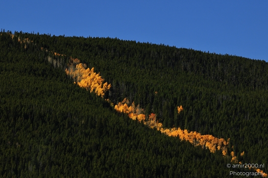 Bear_Lake_Road_During_Autumn_Foliage_Rocky_Mountain_National_Park_Colorado_Western_USA_Nature_Photography_Canon_EOS_R5_Mark_II_2025_037.JPG