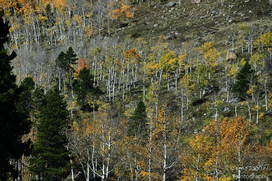 Bear_Lake_Road_During_Autumn_Foliage_Rocky_Mountain_National_Park_Colorado_Western_USA_Nature_Photography_Canon_EOS_R5_Mark_II_2025_038.JPG