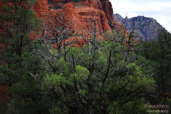 Bell Rock Hike Loop The trail leads to a breathtaking view of Bell Rock and Cathedral Rock image from year 2025 #13
