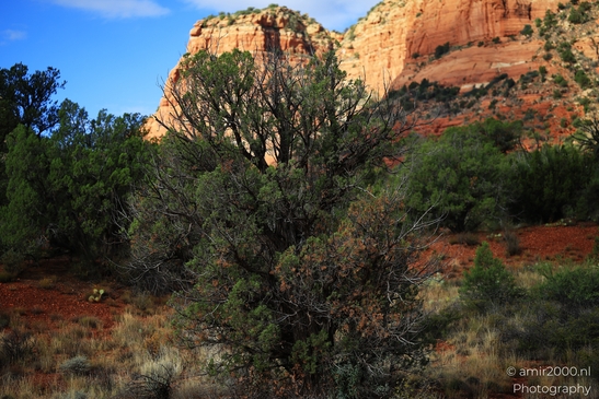 Bell Rock Hike Loop The Bell Rock Hike Loop offers a scenic view of the red rock formations image from year 2025 #14