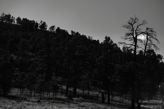 Between_Flagstaff_to_Williams_Arizona_USA_Western_Usa_Nature_Photography_Canon_EOS_R5_Mark_II_2025_009.JPG