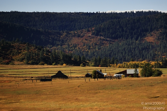 Crossing_Rio_Grande_National_Forest_on_the_way_Colorado_USA_Western_USA_Nature_Photography_Canon_EOS_R5_Mark_II_2025_008.JPG