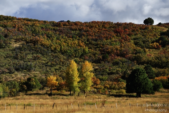 Crossing_Rio_Grande_National_Forest_on_the_way_Colorado_USA_Western_USA_Nature_Photography_Canon_EOS_R5_Mark_II_2025_012.JPG