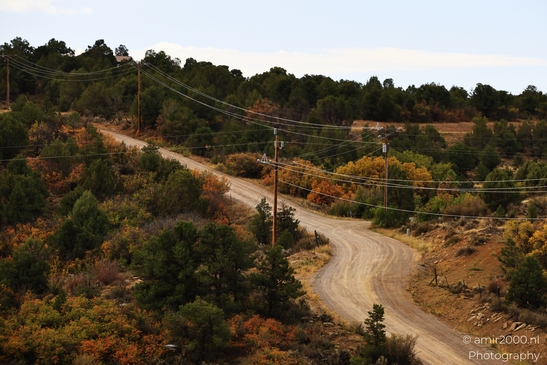 Crossing_Rio_Grande_National_Forest_on_the_way_Colorado_USA_Western_USA_Nature_Photography_Canon_EOS_R5_Mark_II_2025_018.JPG