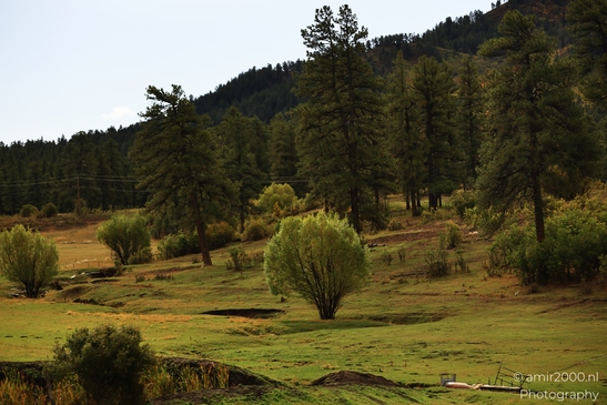 Crossing_Rio_Grande_National_Forest_on_the_way_Colorado_USA_Western_USA_Nature_Photography_Canon_EOS_R5_Mark_II_2025_019.JPG
