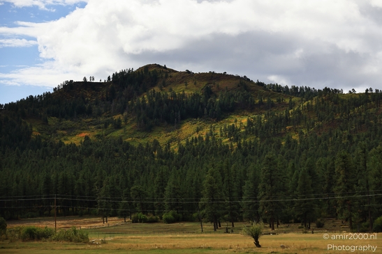 Crossing_Rio_Grande_National_Forest_on_the_way_Colorado_USA_Western_USA_Nature_Photography_Canon_EOS_R5_Mark_II_2025_020.JPG