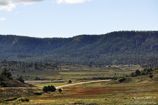 Crossing_Rio_Grande_National_Forest_on_the_way_Colorado_USA_Western_USA_Nature_Photography_Canon_EOS_R5_Mark_II_2025_027.JPG