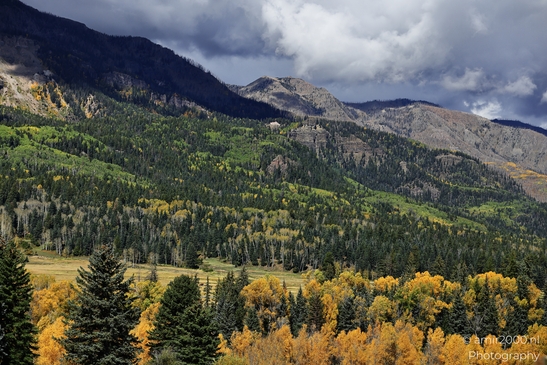 Crossing_Rio_Grande_National_Forest_on_the_way_Colorado_USA_Western_USA_Nature_Photography_Canon_EOS_R5_Mark_II_2025_043.JPG