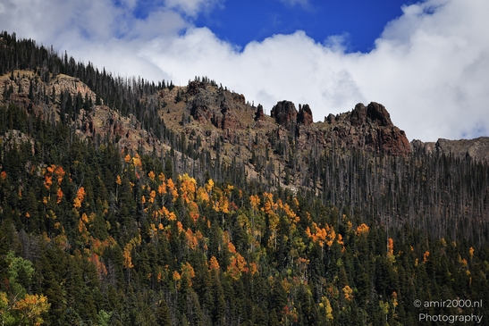 Crossing_Rio_Grande_National_Forest_on_the_way_Colorado_USA_Western_USA_Nature_Photography_Canon_EOS_R5_Mark_II_2025_056.JPG