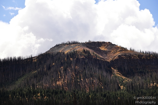 Crossing_Rio_Grande_National_Forest_on_the_way_Colorado_USA_Western_USA_Nature_Photography_Canon_EOS_R5_Mark_II_2025_061.JPG