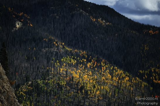 Crossing_Rio_Grande_National_Forest_on_the_way_Colorado_USA_Western_USA_Nature_Photography_Canon_EOS_R5_Mark_II_2025_067.JPG