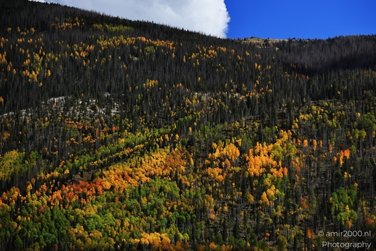 Crossing_Rio_Grande_National_Forest_on_the_way_Colorado_USA_Western_USA_Nature_Photography_Canon_EOS_R5_Mark_II_2025_071.JPG