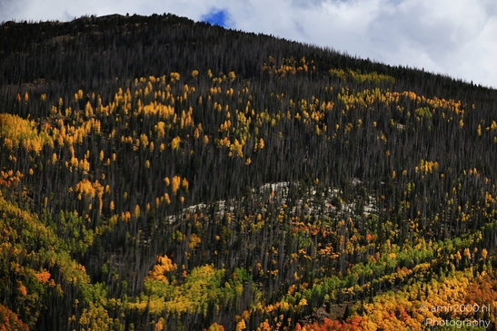 Crossing_Rio_Grande_National_Forest_on_the_way_Colorado_USA_Western_USA_Nature_Photography_Canon_EOS_R5_Mark_II_2025_072.JPG