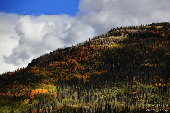 Crossing_Rio_Grande_National_Forest_on_the_way_Colorado_USA_Western_USA_Nature_Photography_Canon_EOS_R5_Mark_II_2025_073.JPG