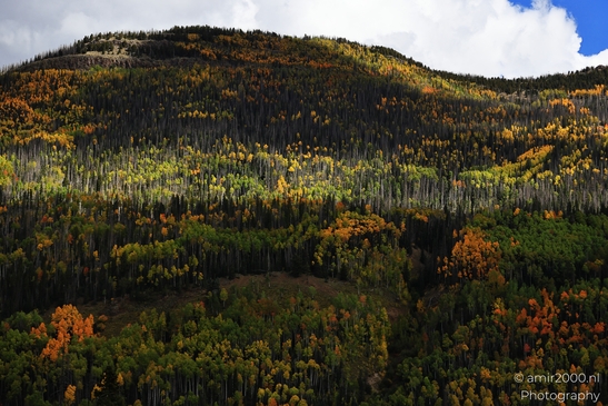 Crossing_Rio_Grande_National_Forest_on_the_way_Colorado_USA_Western_USA_Nature_Photography_Canon_EOS_R5_Mark_II_2025_074.JPG