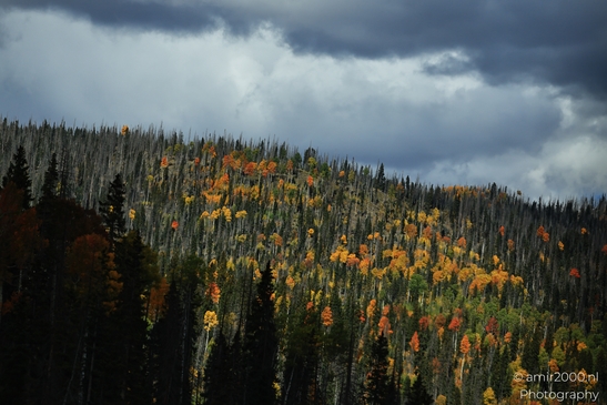 Crossing_Rio_Grande_National_Forest_on_the_way_Colorado_USA_Western_USA_Nature_Photography_Canon_EOS_R5_Mark_II_2025_075.JPG