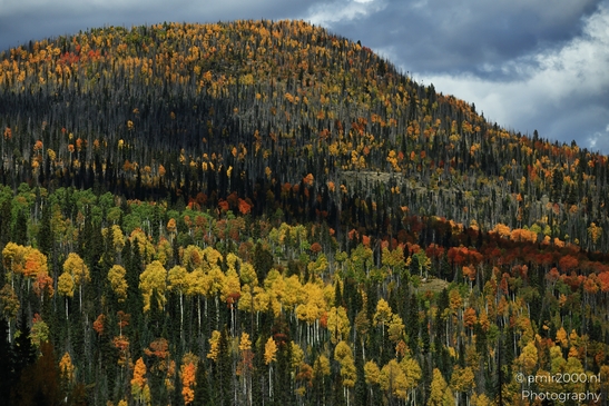 Crossing_Rio_Grande_National_Forest_on_the_way_Colorado_USA_Western_USA_Nature_Photography_Canon_EOS_R5_Mark_II_2025_076.JPG