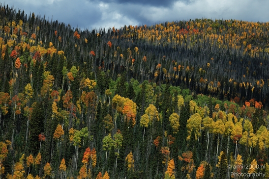 Crossing_Rio_Grande_National_Forest_on_the_way_Colorado_USA_Western_USA_Nature_Photography_Canon_EOS_R5_Mark_II_2025_077.JPG