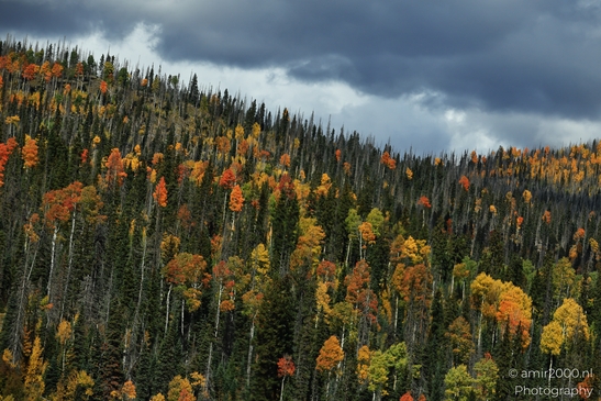 Crossing_Rio_Grande_National_Forest_on_the_way_Colorado_USA_Western_USA_Nature_Photography_Canon_EOS_R5_Mark_II_2025_078.JPG