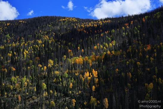 Crossing_Rio_Grande_National_Forest_on_the_way_Colorado_USA_Western_USA_Nature_Photography_Canon_EOS_R5_Mark_II_2025_080.JPG
